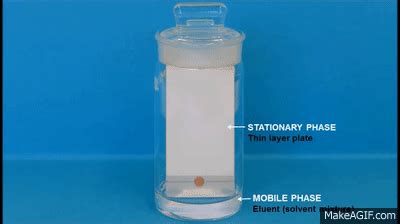 chromatography animation|Thin Layer Chromatography (TLC), animation .